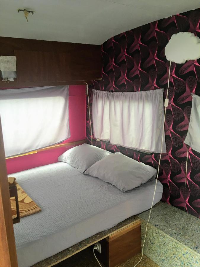 Camping Oaza Bela Crkva  Dış mekan fotoğraf