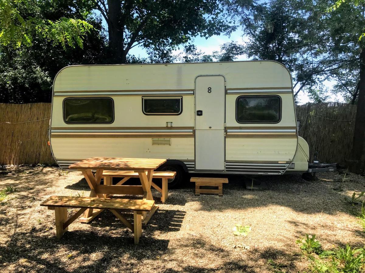 Camping Oaza Bela Crkva  Dış mekan fotoğraf