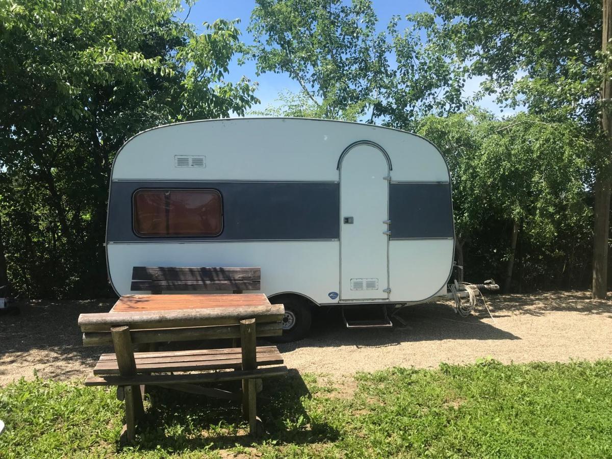 Camping Oaza Bela Crkva  Dış mekan fotoğraf
