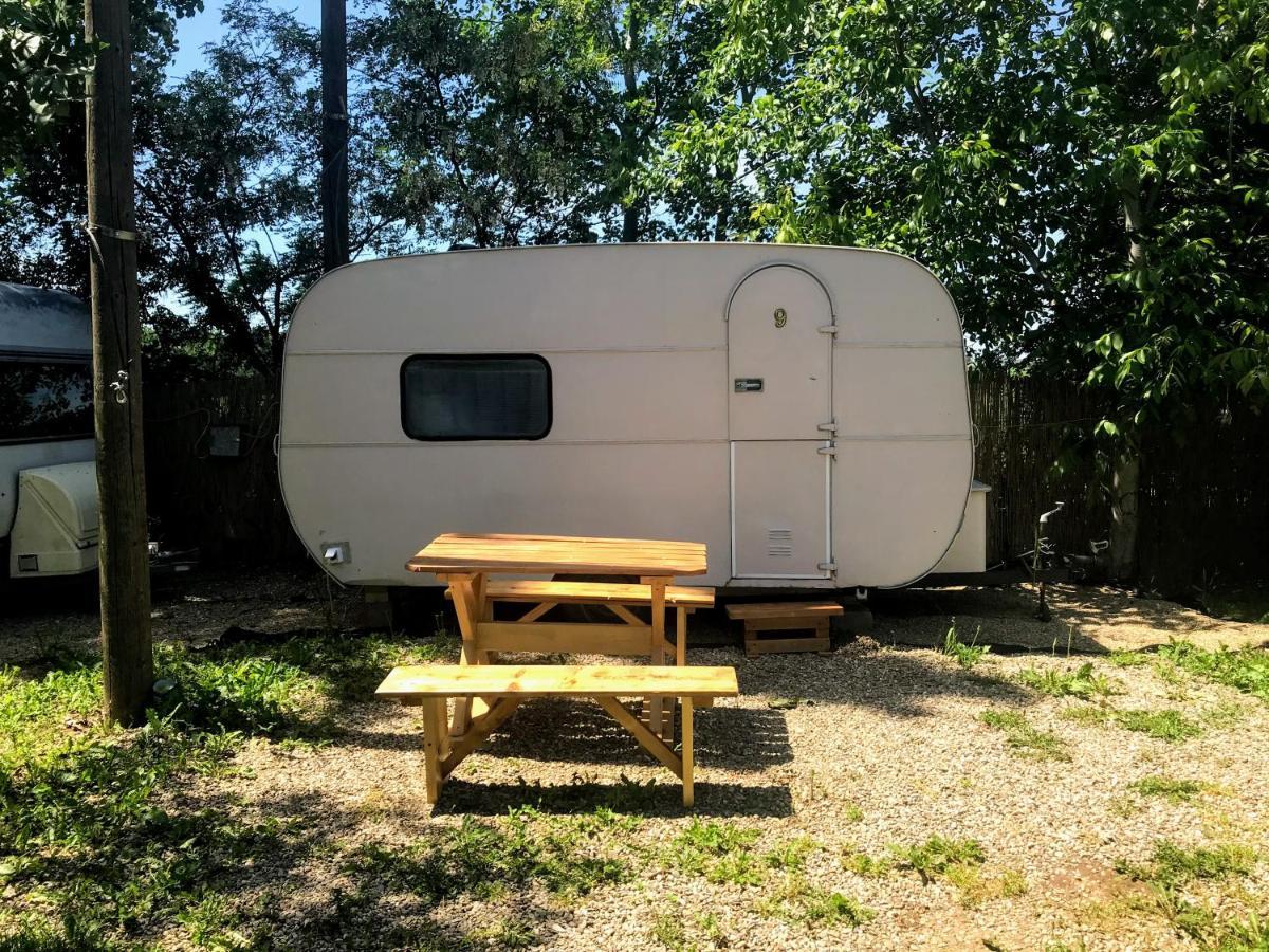 Camping Oaza Bela Crkva  Dış mekan fotoğraf