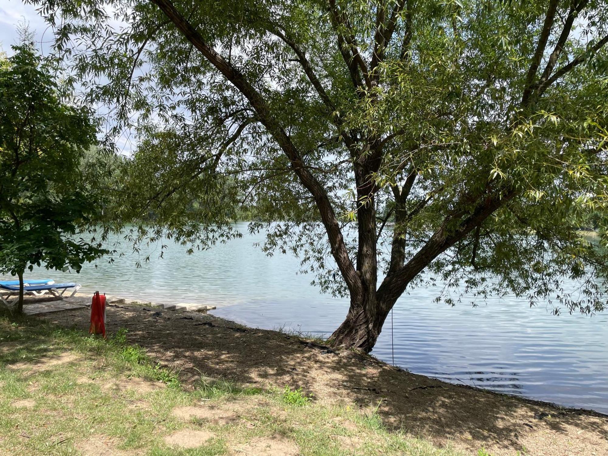 Camping Oaza Bela Crkva  Dış mekan fotoğraf