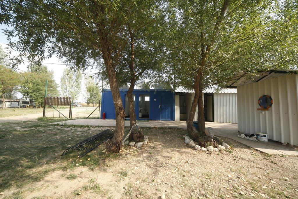 Camping Oaza Bela Crkva  Dış mekan fotoğraf